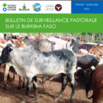 Bulletin de surveillance pastorale sur le Burkina Faso – Février – Mars 2025